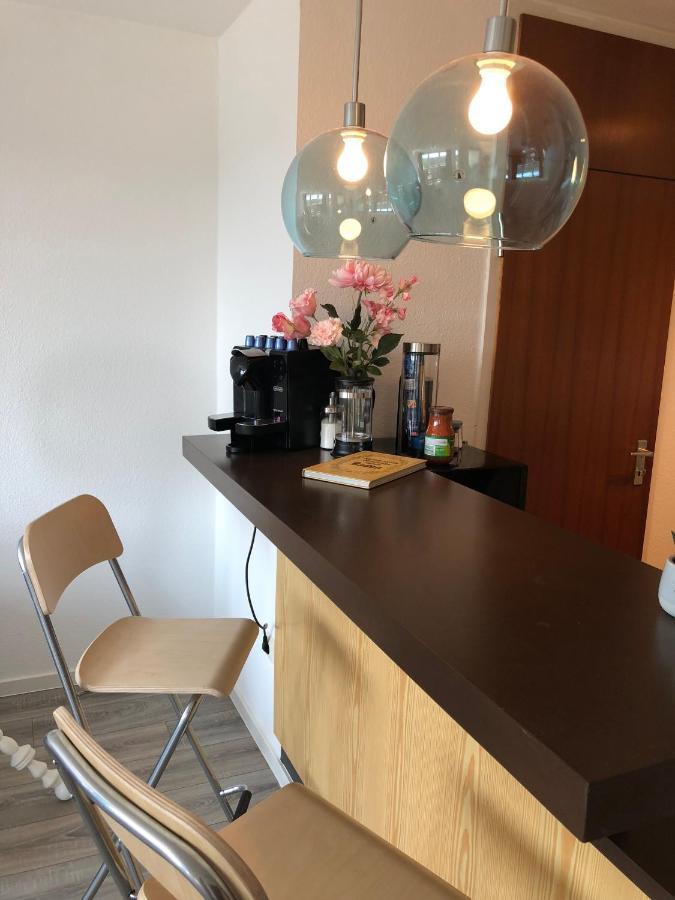 Grosses Appartement Mit Aussichtsbalkon Ludwigsburg Buitenkant foto